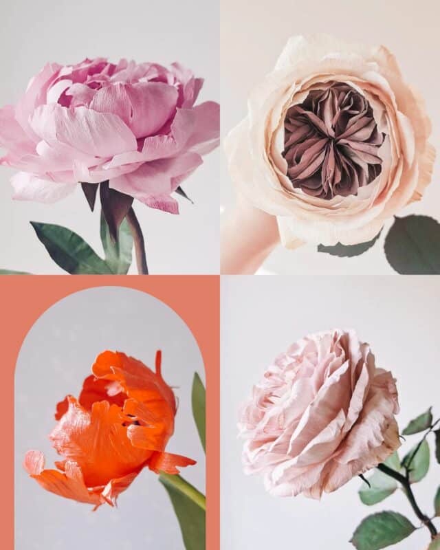 Czy kwiaty z papieru to po prostu sztuczne kwiaty? 2 kolaż przedstawiający papierową piwonię, różę angielską, tulipana i różę ogrodową