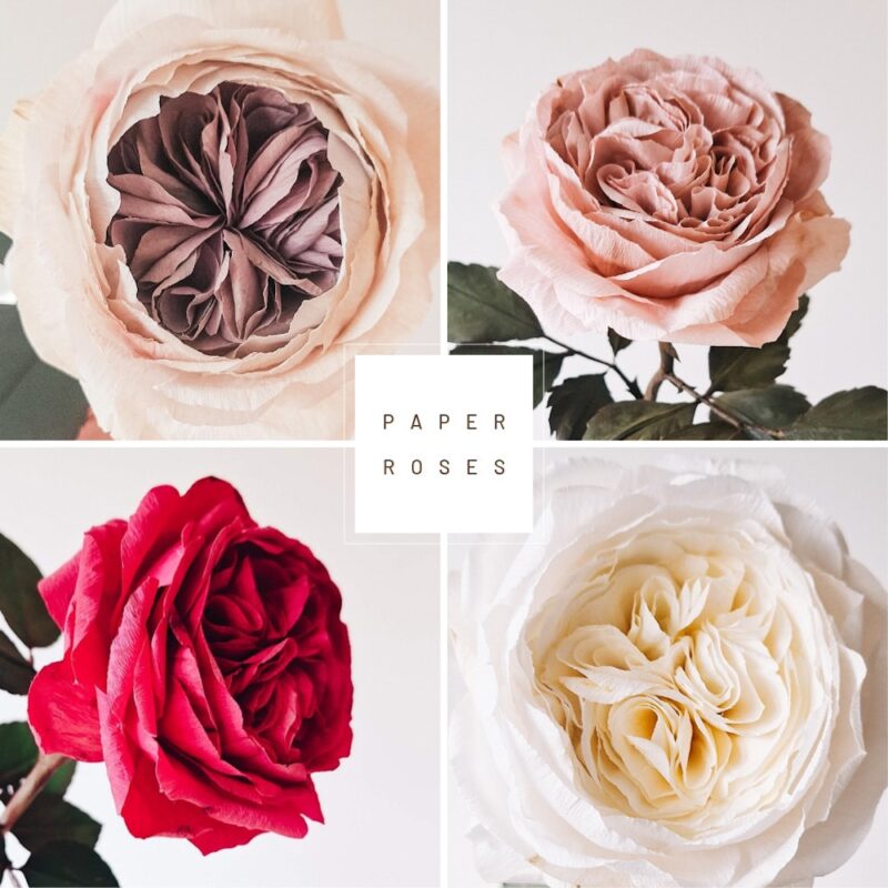 Kolaż czterech ręcznie robionych, papierowych, bardzo realistycznych róż angielskich w kolorze różowym, białym i czerwonym