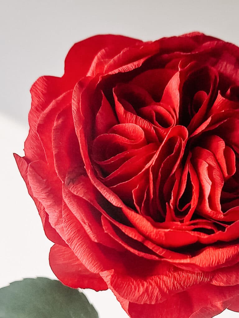 zbliżenie na środek papierowej róży z papieru