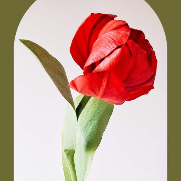 czerwony, papierowy tulipan w ciemnozielonej ramce