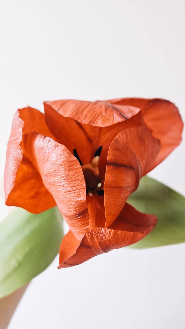 pomarańczowy tulipan wykonany z krepiny, który wygląda jak żywy