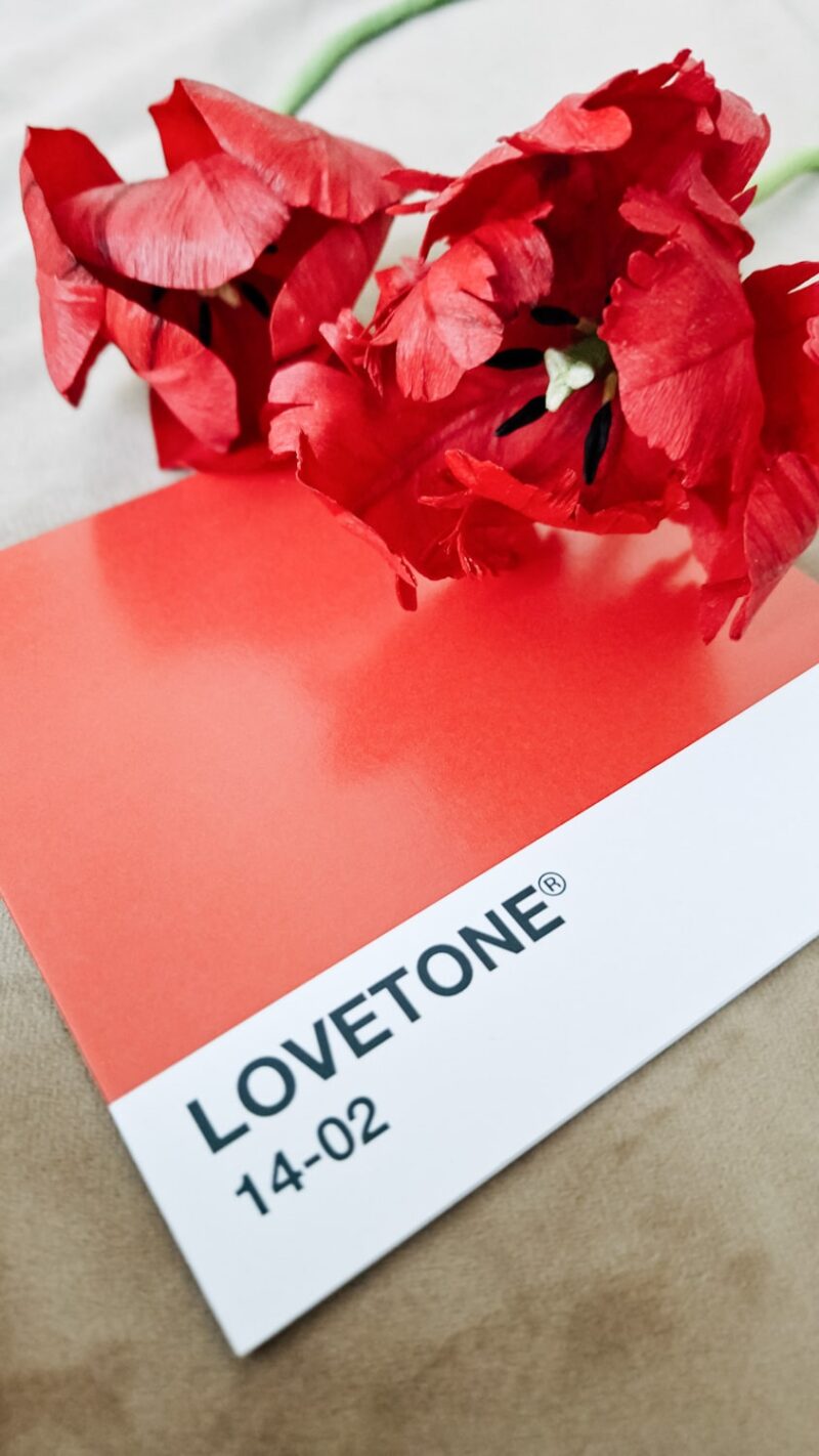 dwa czerwone tulipany z papieru leżące na kartce walentynkowej