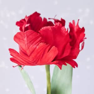 widok z bliska na postrzępione płatki czerwonego, realistycznego tulipana z papieru