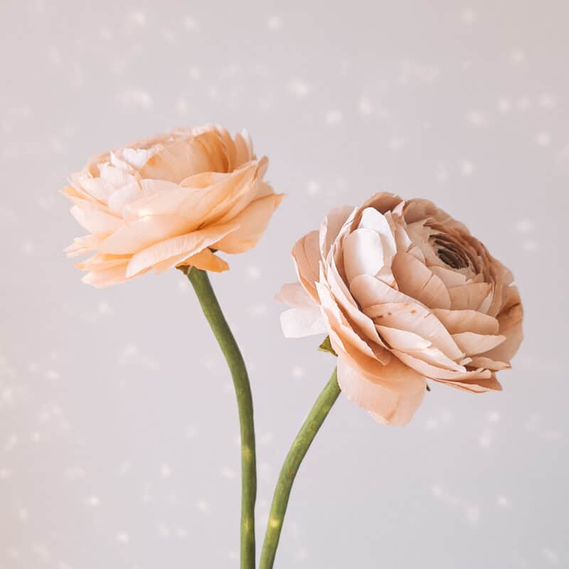 dwa pastelowe jaskry wykoanne z bibuły o jakości premium