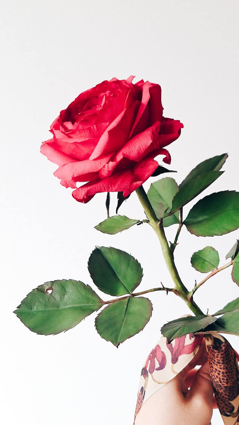 czerwona papierowa róża wykonana z różnych rodzajów papieru o bardzo realistycznym wyglądzie