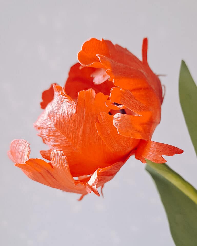 pomarańczowy tulipan z papieru wykonany ręcznie z uwzględnieniem najdrobniejszych detali