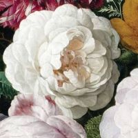 fragment obrazu barokowego z przedstawieniem białej róży