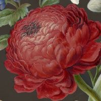 fragment dzieła sztuki z przestawieniem jaskra